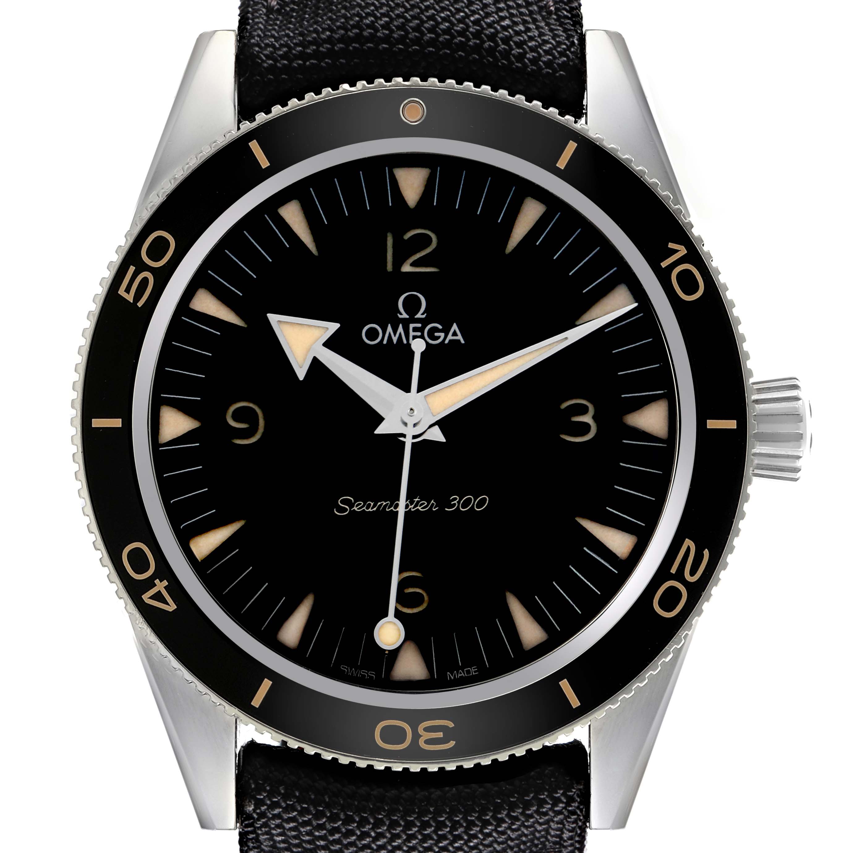 Omega Seamaster 234.32.41.21.01.001