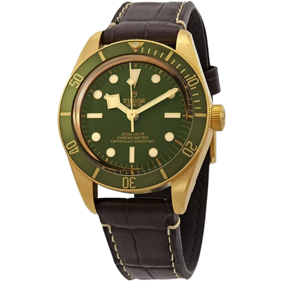 Tudor Black Bay 79018V
